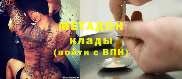 ГАЛЛЮЦИНОГЕННЫЕ ГРИБЫ Ельня