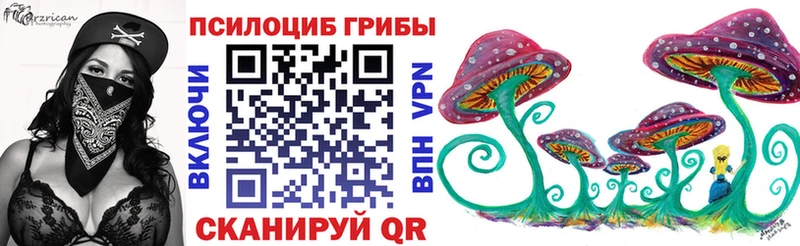 Галлюциногенные грибы Psilocybine cubensis  где купить наркоту  Чита 